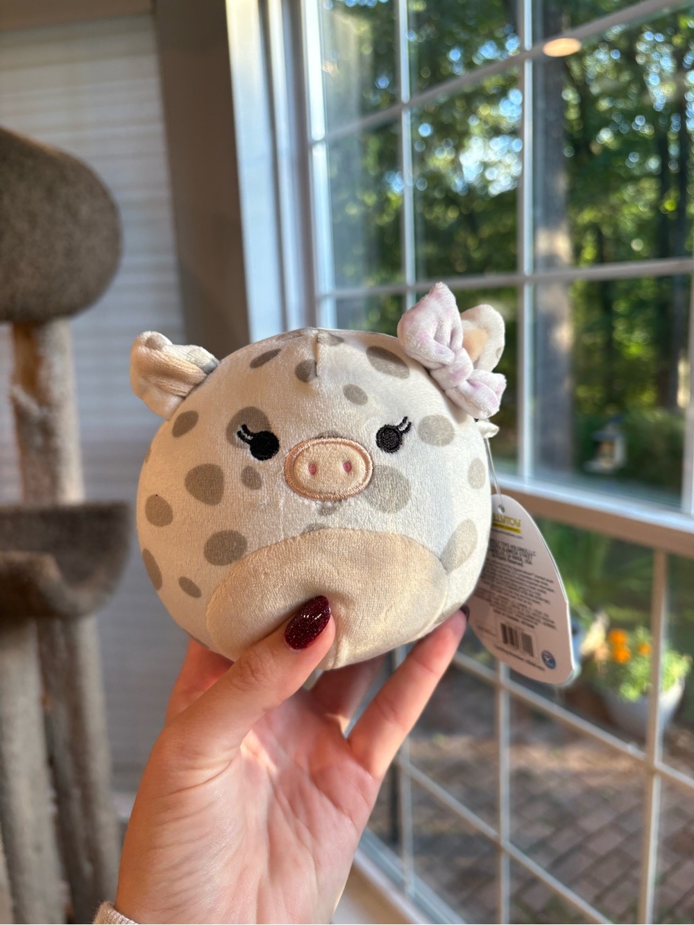 Rosie the pig squishmallow with bow NWT 5in OG 2019